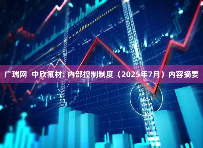 广瑞网  中欣氟材: 内部控制制度（2025年7月）内容摘要